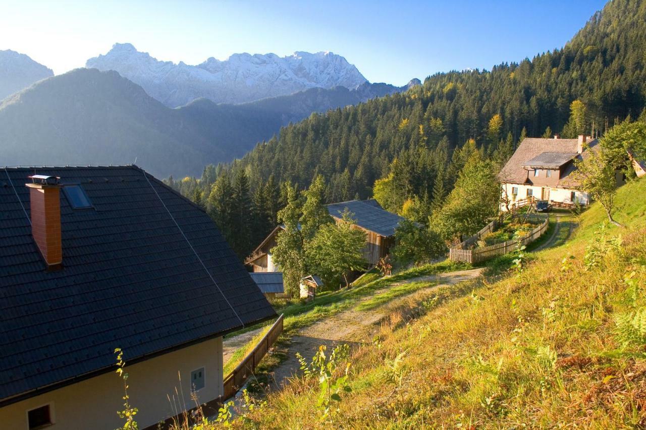 Turisticna Kmetija Perk Villa Solčava Exteriör bild