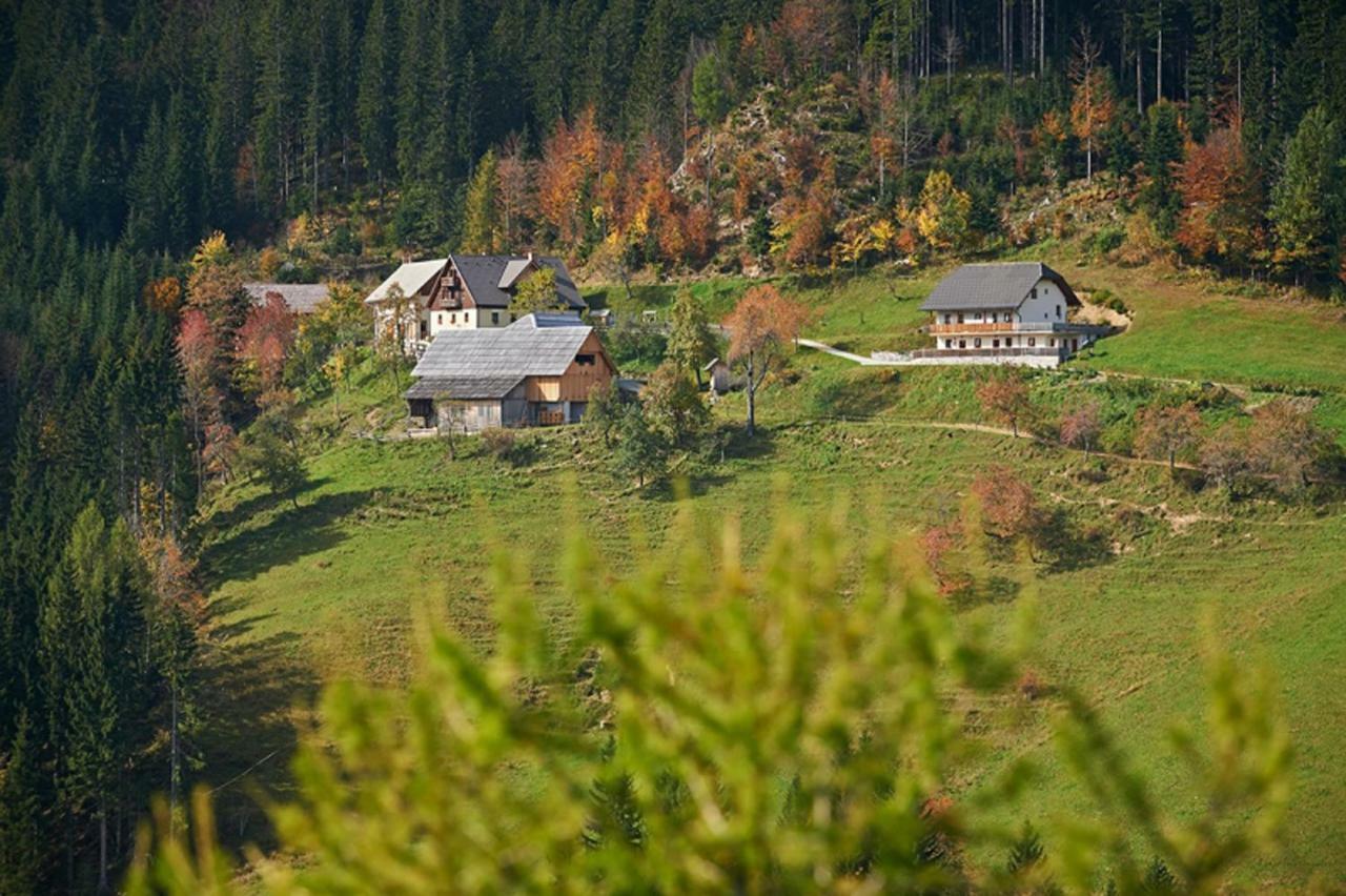 Turisticna Kmetija Perk Villa Solčava Exteriör bild
