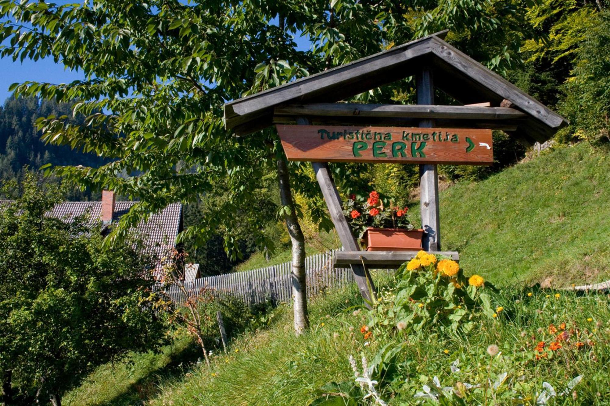Turisticna Kmetija Perk Villa Solčava Exteriör bild