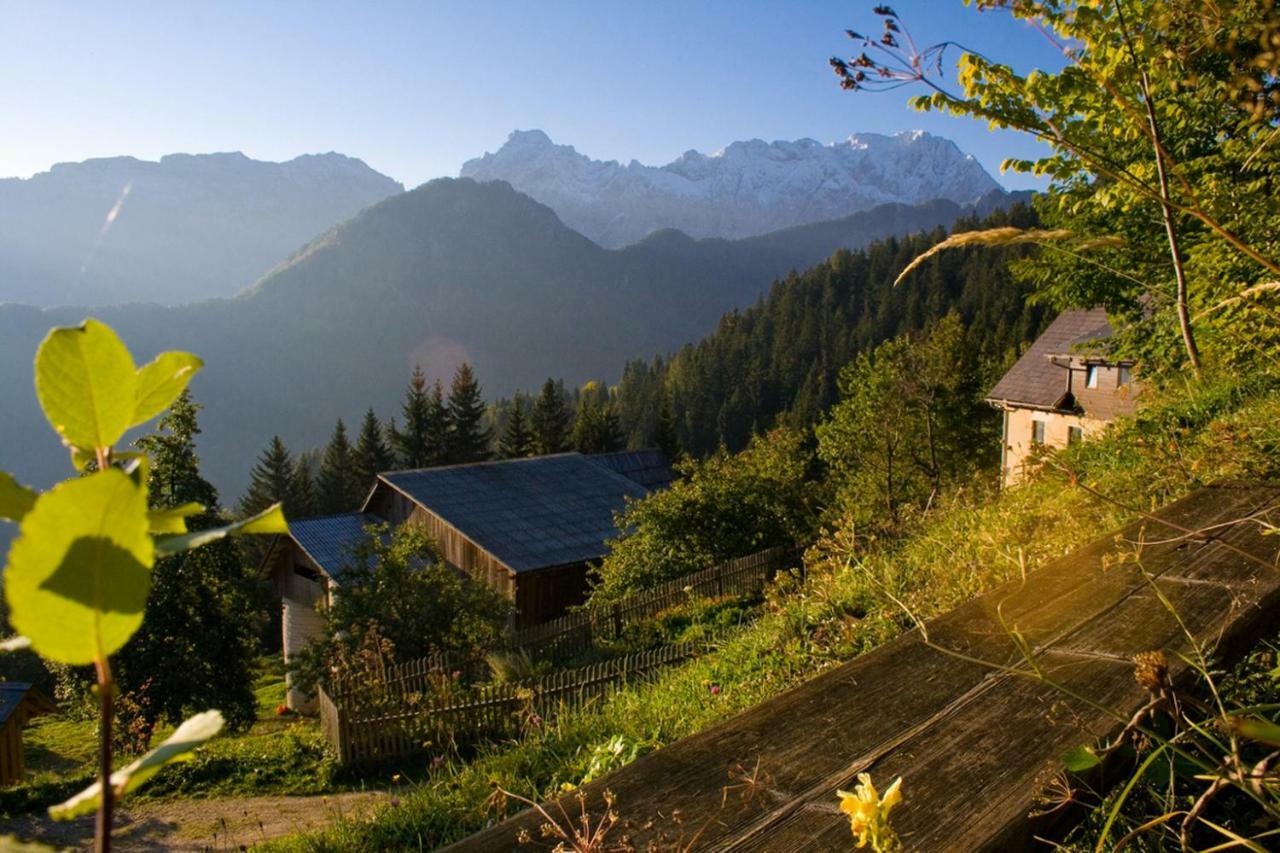 Turisticna Kmetija Perk Villa Solčava Exteriör bild